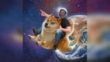 Elon Musk has asked Twitter users if they want Tesla to accept Dogecoin as a payment method.